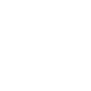 Lost and Found Toronto